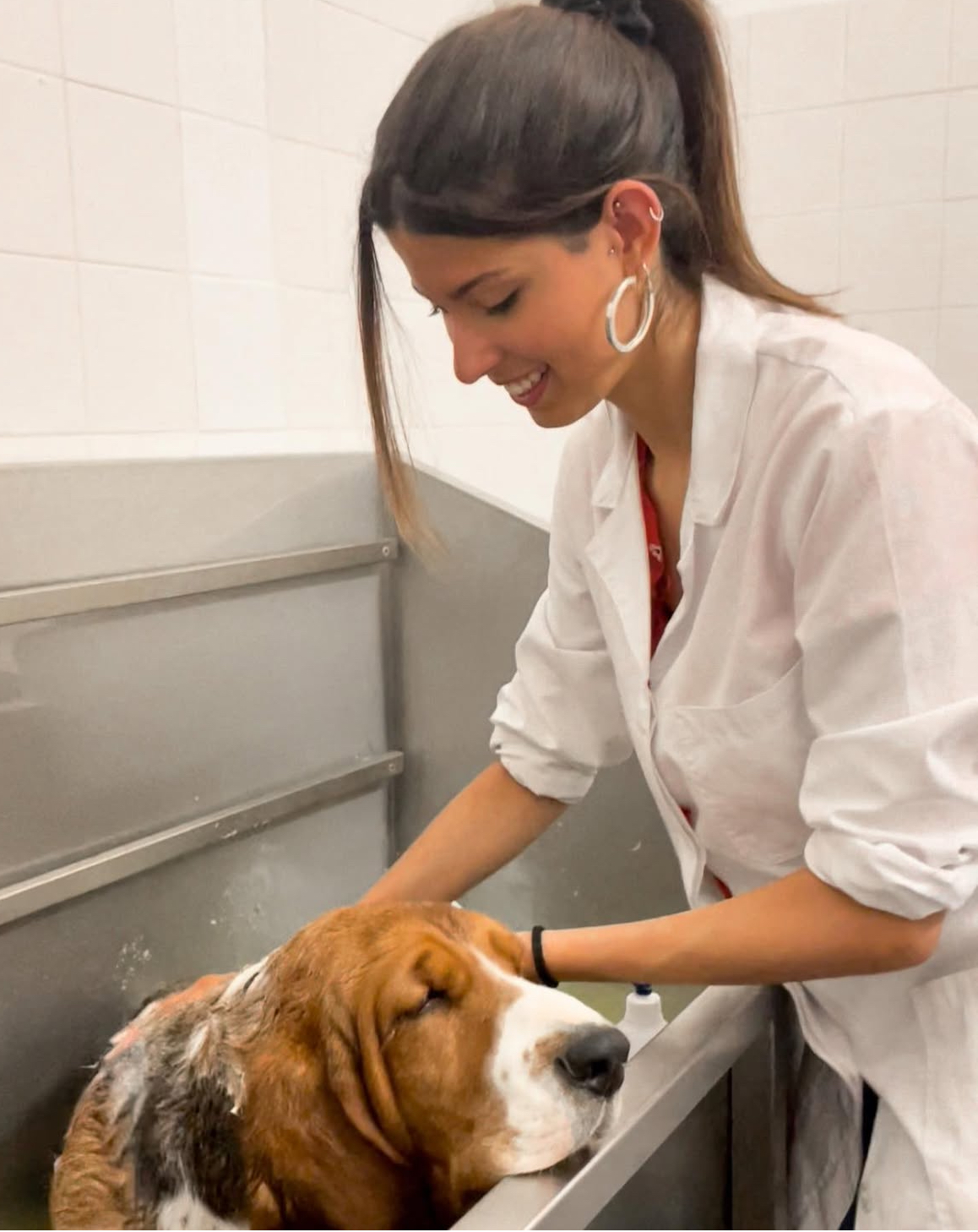 Beatriz Conceição - Vila Franca de Xira - Dog Sitting