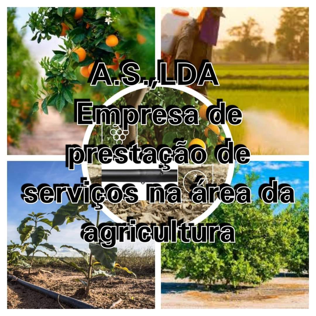 A.S. prestadores de serviços agrícolas - Tavira - Remoção de Arbustos