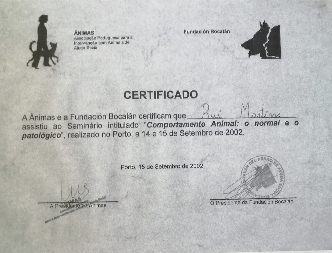 Martinsk9 - Moita - Treino de Cães - Aulas