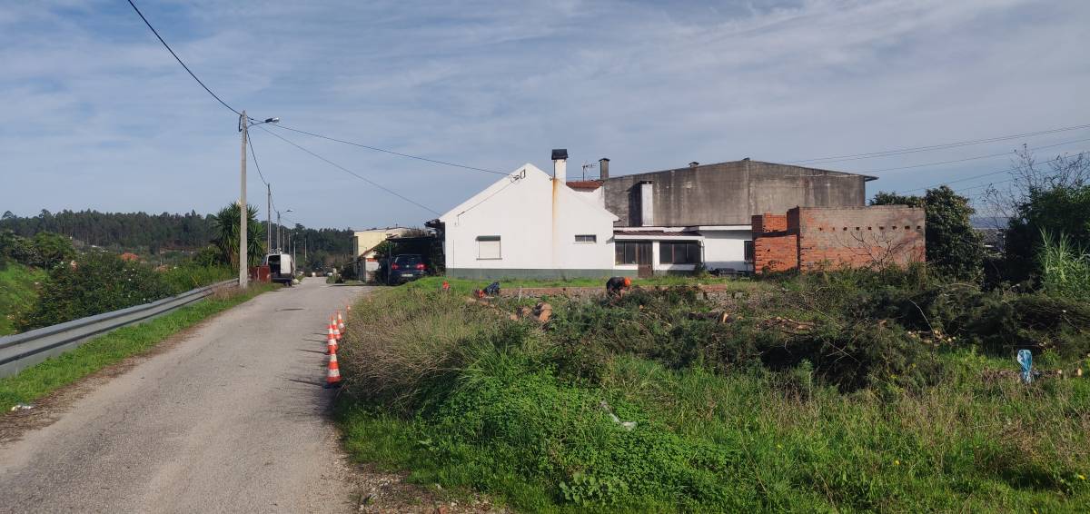 Botanika - Aveiro - Nivelación y clasificación de tierras: a gran escala (más de 4000 m2)