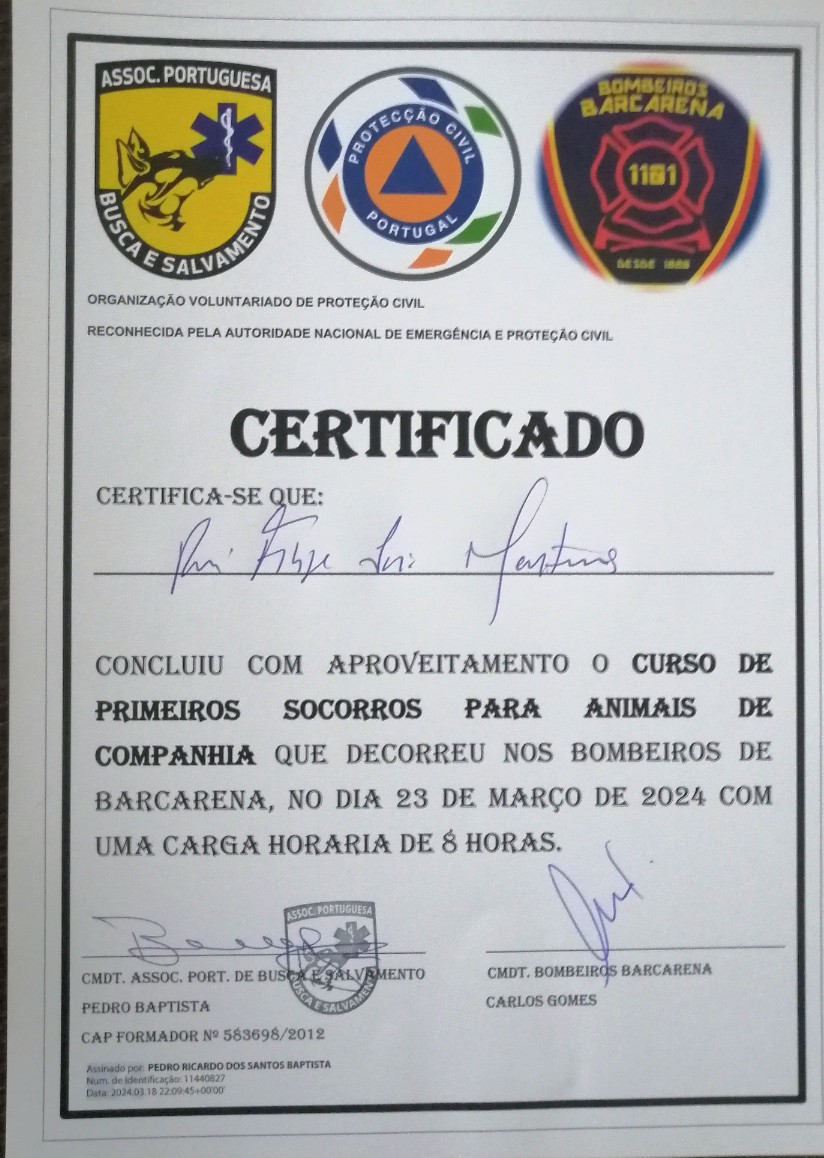 Martinsk9 - Moita - Treino de Cães - Aulas