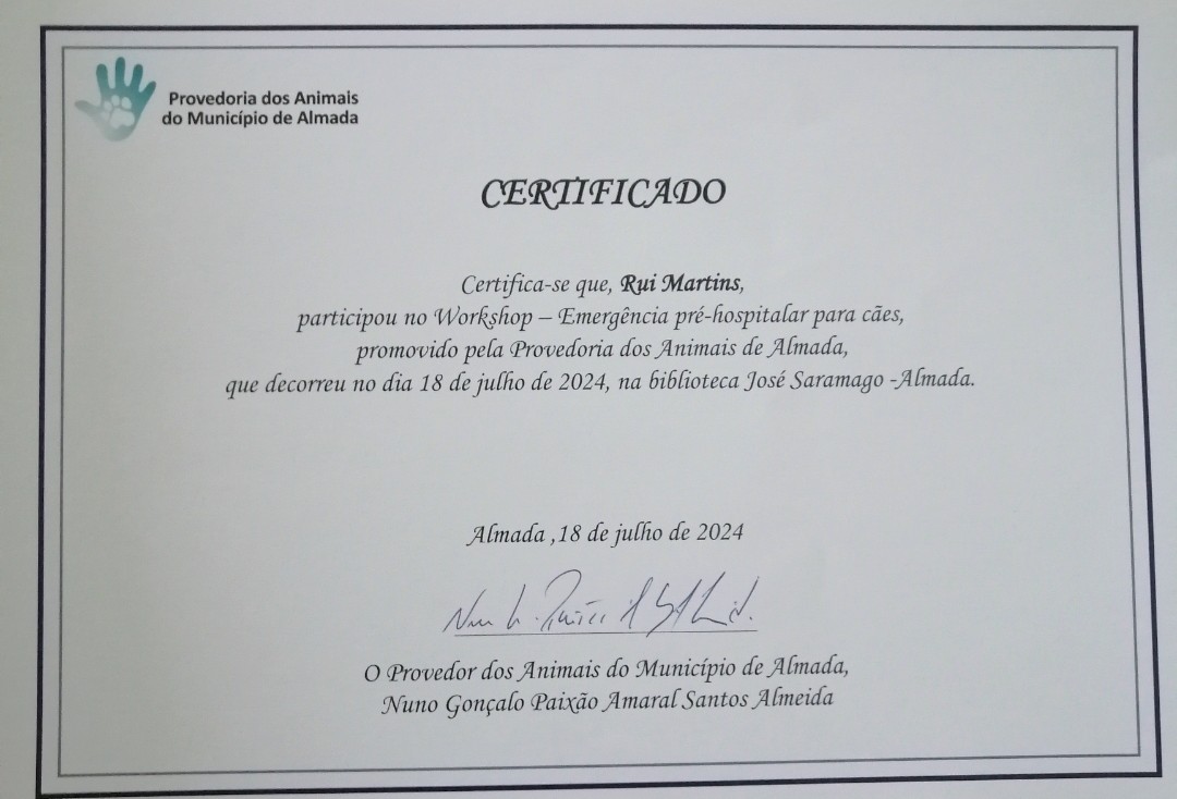 Martinsk9 - Moita - Treino de Cães - Aulas