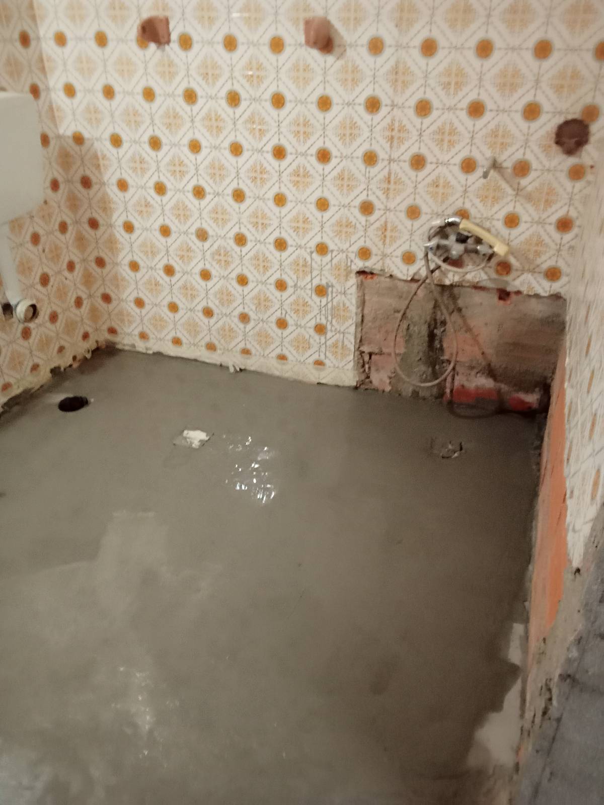 Paulo silveiro - Coimbra - Hardwood Floor Repair or Partial Replacement