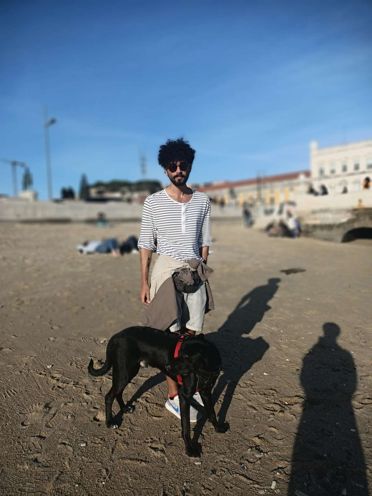 Pet Walker & Petsitter - Lisboa - Dog Daycare