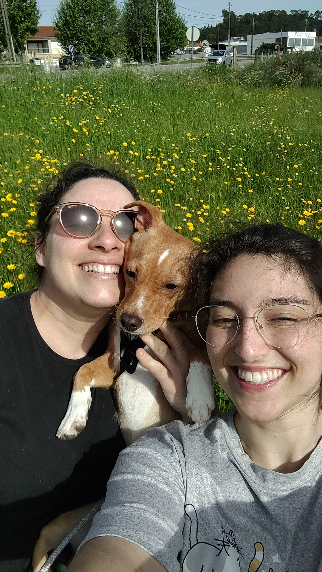 Francisca Aguiar - Aveiro - Pet Sitting