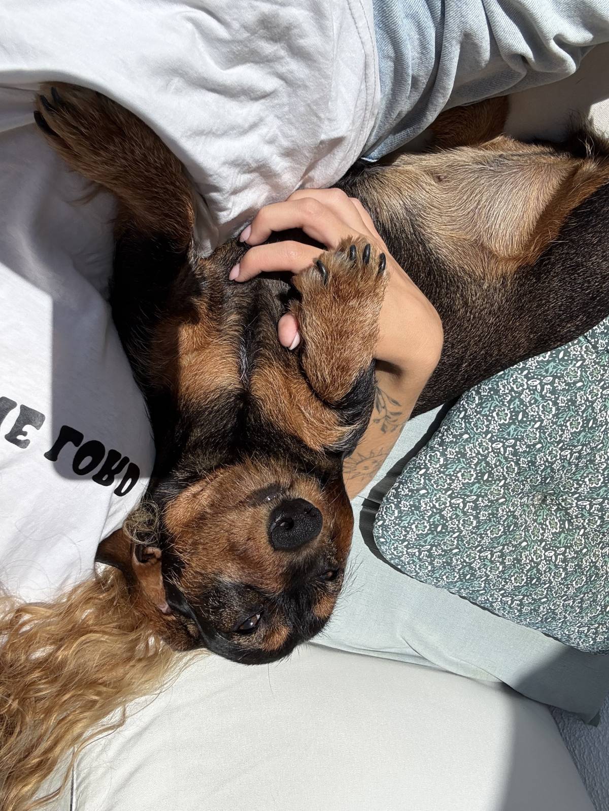 Mia - Cascais - Cuidar tus mascotas