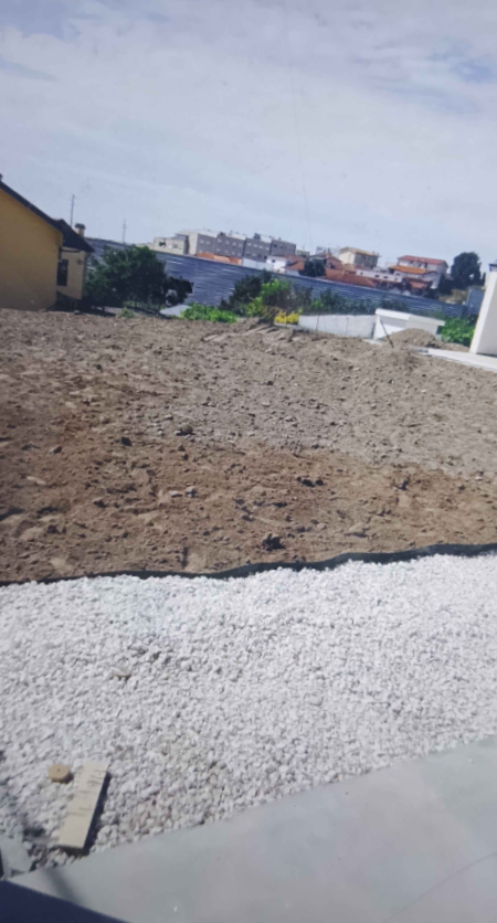 Estrela - Vila Nova de Gaia - Genealogy