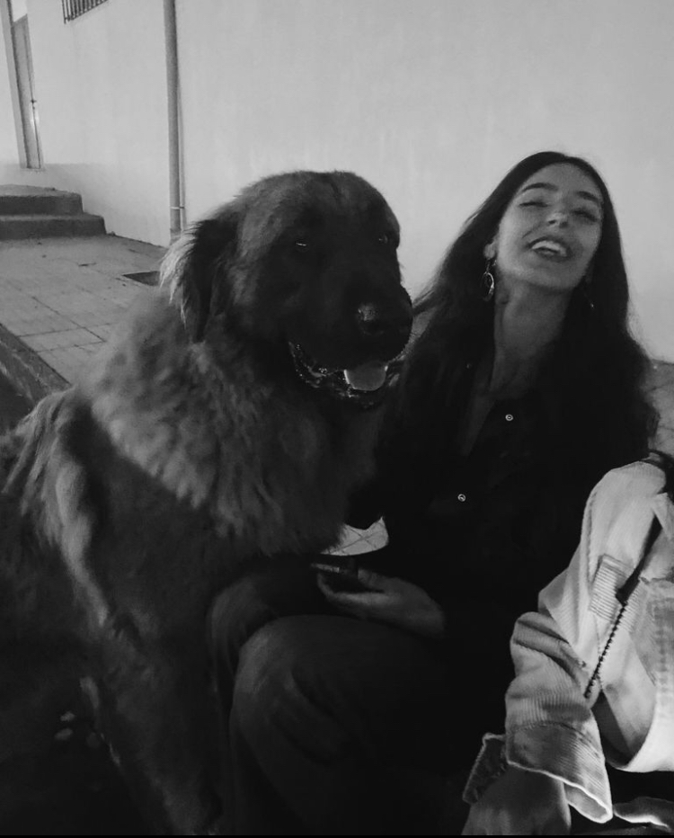 Ana Rita Vasconcelos - Coimbra - Hundeausführung