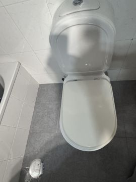 Toilet Repair Service