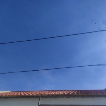 Alfredo - Vila de Rei - Limpieza de tejados