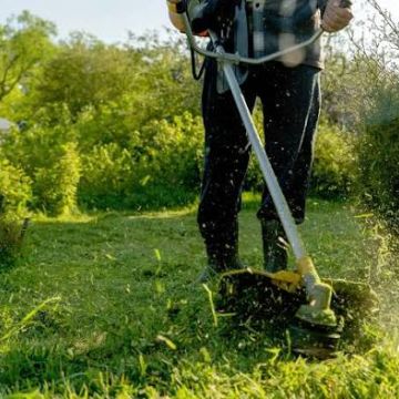 Sou trabalhador profissional por conta própria, fasso remoção de lixo, fasso jardinagem, limpeza de terrenos, sou pintor de paredes - Aveiro - Ilustrador