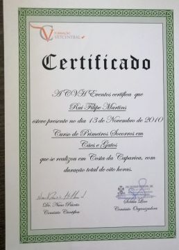 Martinsk9 - Moita - Treino de Cães
