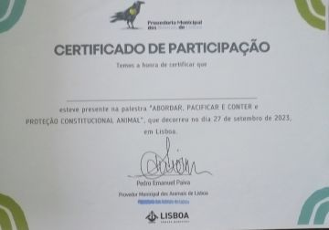 Martinsk9 - Moita - Treino de Cães