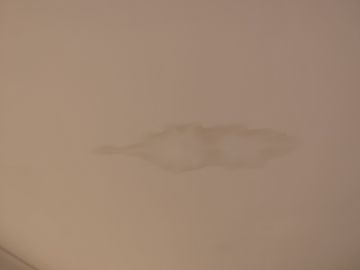 Stucco Specialist