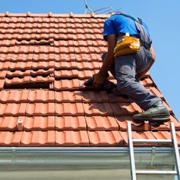 Alfredo - Vila de Rei - Servicios de construcción de albañilería