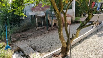 Gardener - Home Improvements