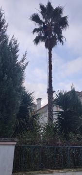 Botanika - Aveiro - Instalación de sistemas de riego por goteo