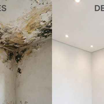 Wendel Silva - Guimarães - Servicios de construcción