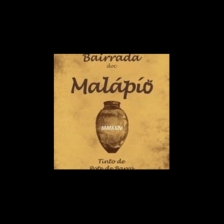 Adega Malápio - Águeda - Weinproben und Weingutsführungen