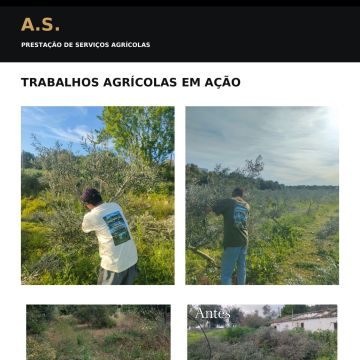 A.S. prestadores de serviços agrícolas - Tavira - Instalação de Relva Artificial