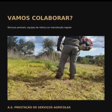 A.S. prestadores de serviços agrícolas - Tavira - Estufas