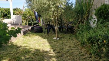 Lawncare - Home Improvements