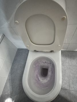 Toilet Repair
