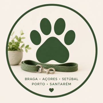 João Petsitting - Braga - Dog Walking