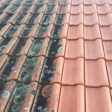Algarve roofing and painting - Loulé - Manutenção e Reparação de Cobertura de Pátio