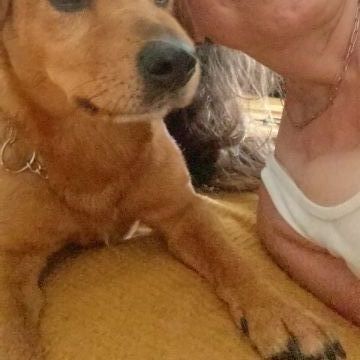 Susy - Sintra - Baths and Grooming for Animals