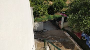 Gardening - Lawncare
