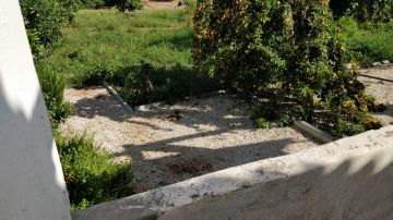 Gardener - Home Improvements