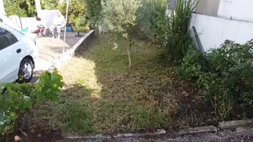 Lawncare - Home Improvements