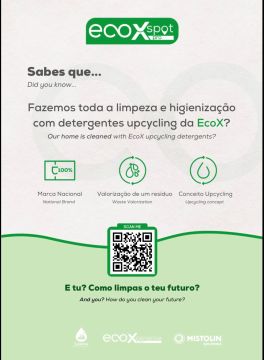 Lumína - Limpeza&Engomadoria - Lisboa - Limpieza de propiedades