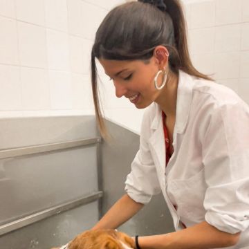 Beatriz Conceição - Vila Franca de Xira - Dog Sitting