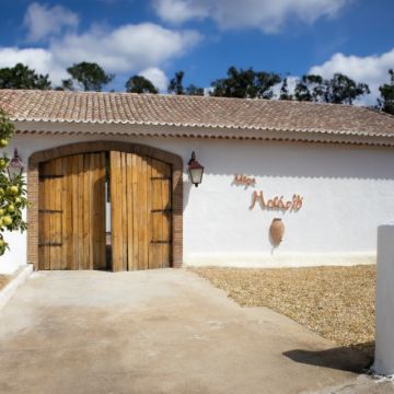 Adega Malápio - Águeda - Weinproben und Weingutsführungen