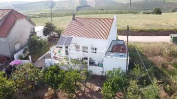 Gardening - Lawncare