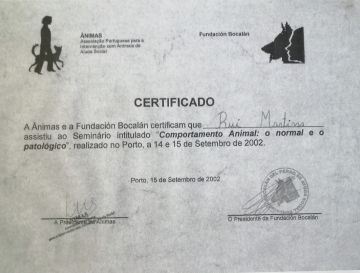 Martinsk9 - Moita - Treino de Cães - Aulas