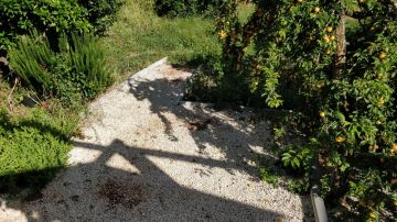 Gardening - Lawncare