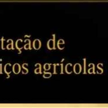 A.S. prestadores de serviços agrícolas - Tavira - Colocação de Pedra