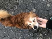 Juliana Silva - Barcelos - Tutorías de historia
