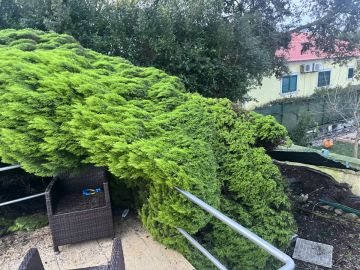 Gartenarbeiten