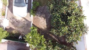 Lawncare
