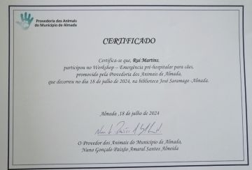 Martinsk9 - Moita - Treino de Cães - Aulas
