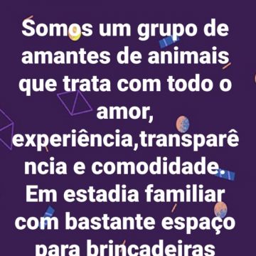 Cristina - Moita - Dog Walking