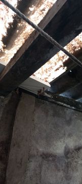 Dachdecker (Bau- oder Austausch) - Haus