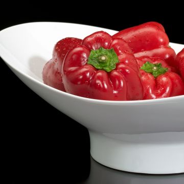 Fotografiamais () - Leiria - Fotografia de Imóveis