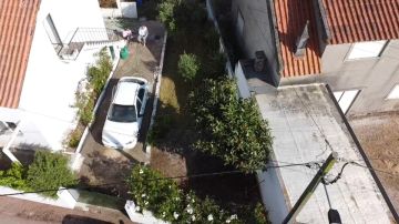 Gardening - Lawncare