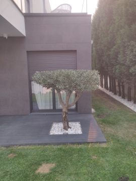 Botanika - Aveiro - Multiservicios de cuidados del césped