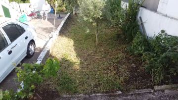 Lawncare - Home Improvements